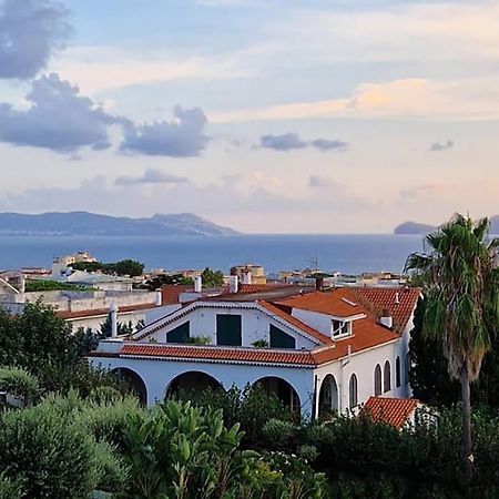 Casa Olivella Daire Torre del Greco Dış mekan fotoğraf