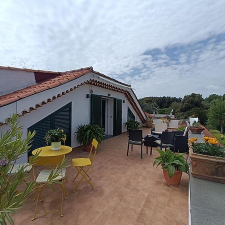 Casa Olivella Daire Torre del Greco Dış mekan fotoğraf