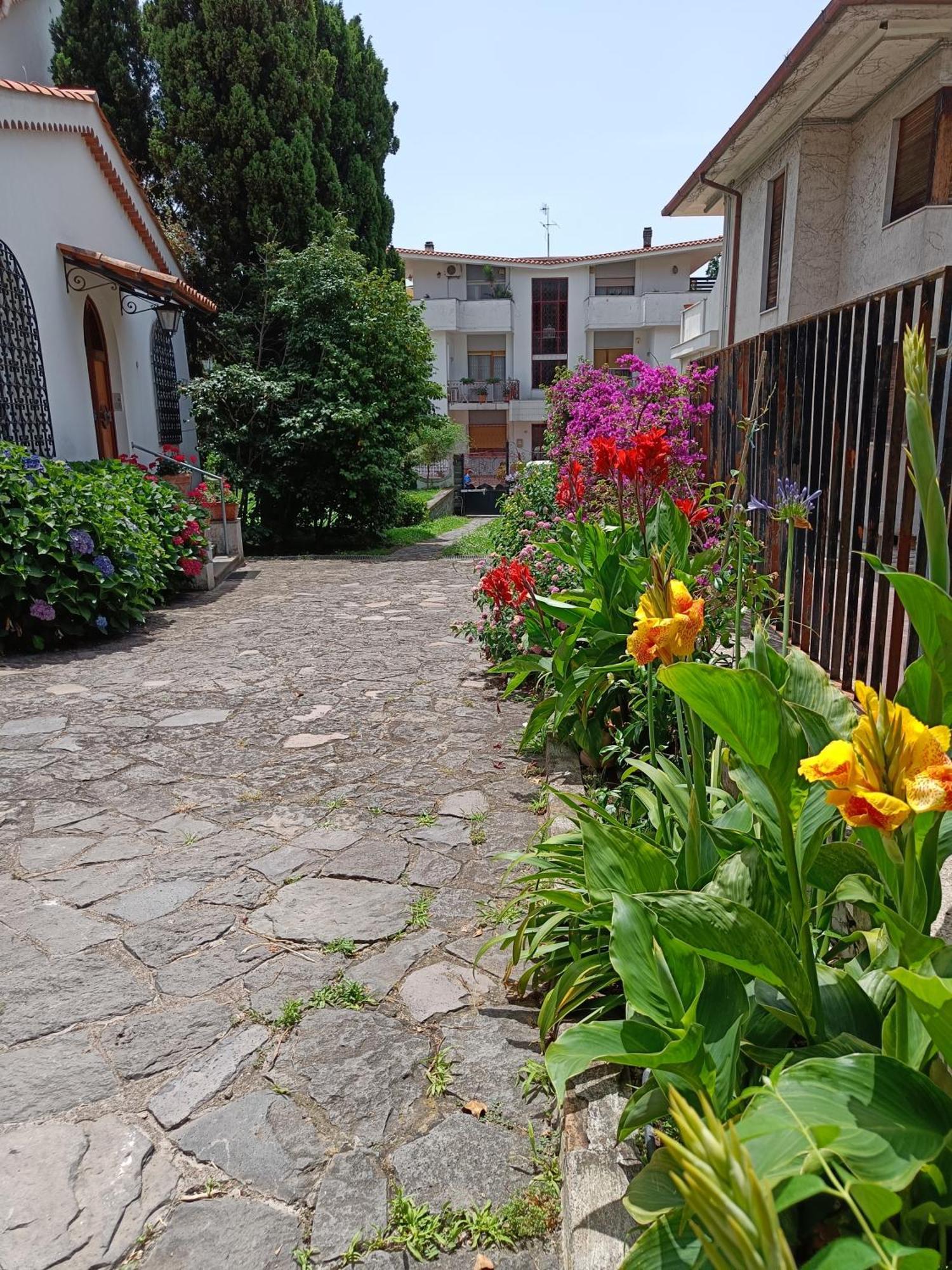 Casa Olivella Daire Torre del Greco Dış mekan fotoğraf