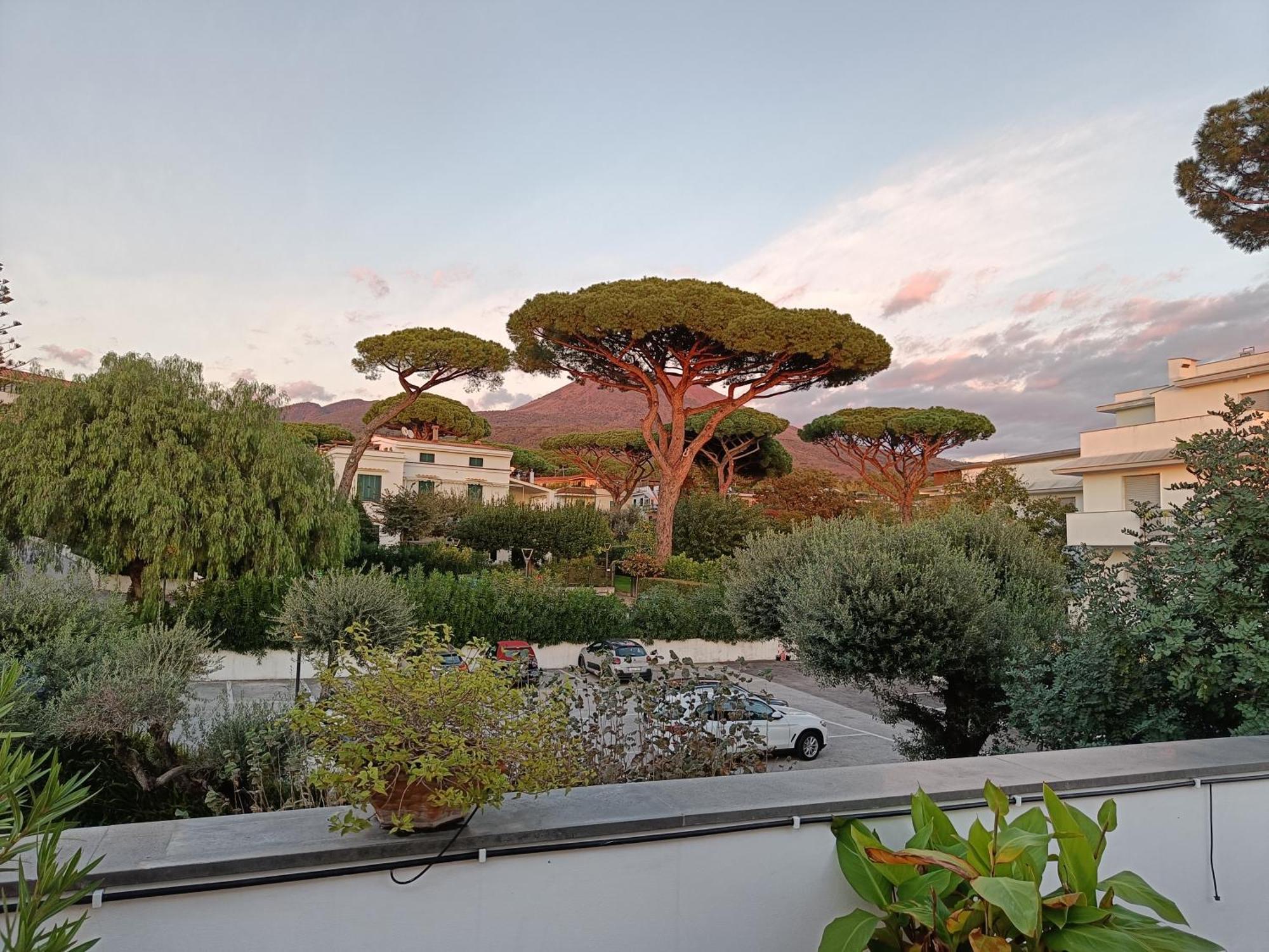 Casa Olivella Daire Torre del Greco Dış mekan fotoğraf