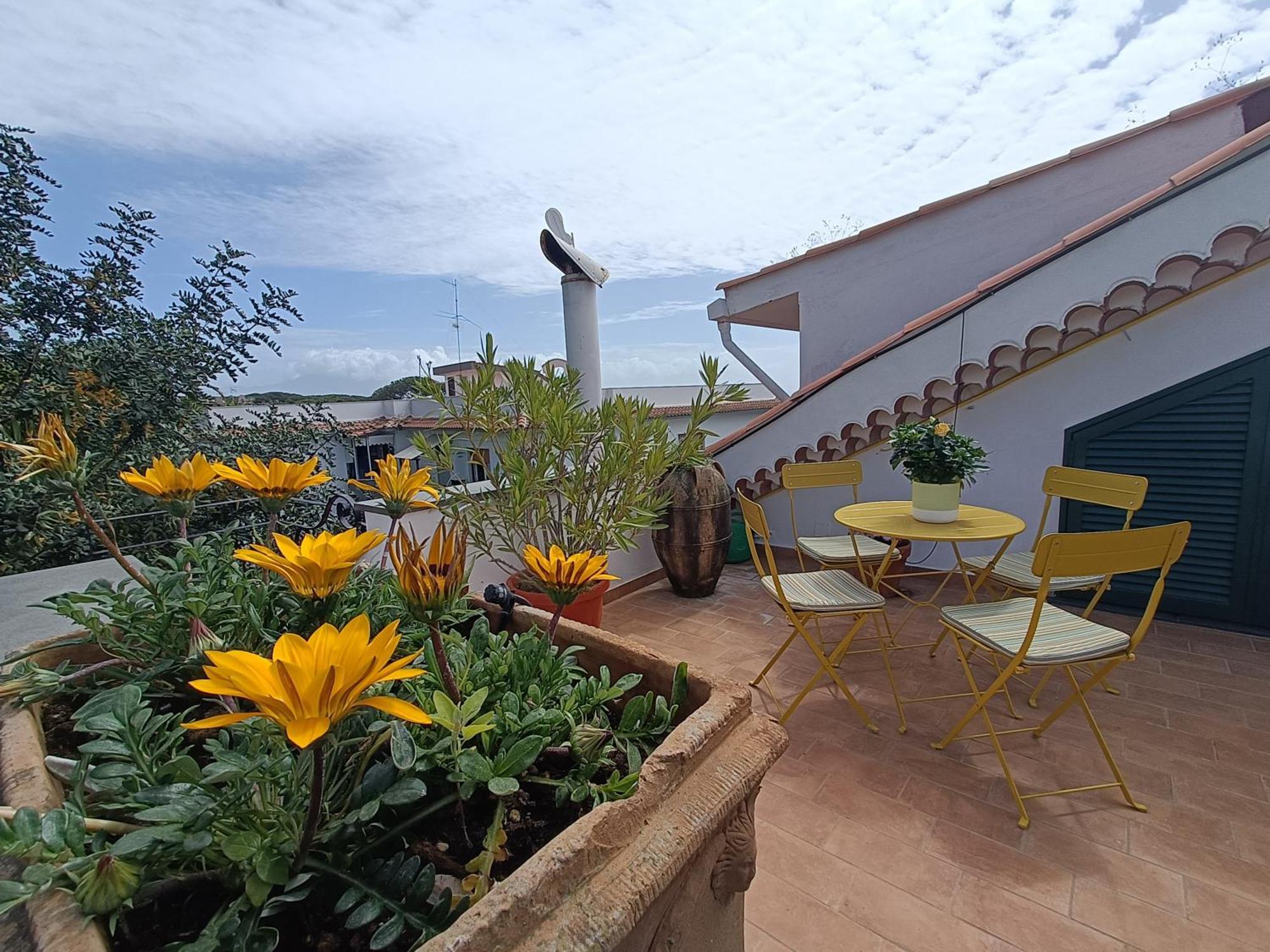 Casa Olivella Daire Torre del Greco Dış mekan fotoğraf