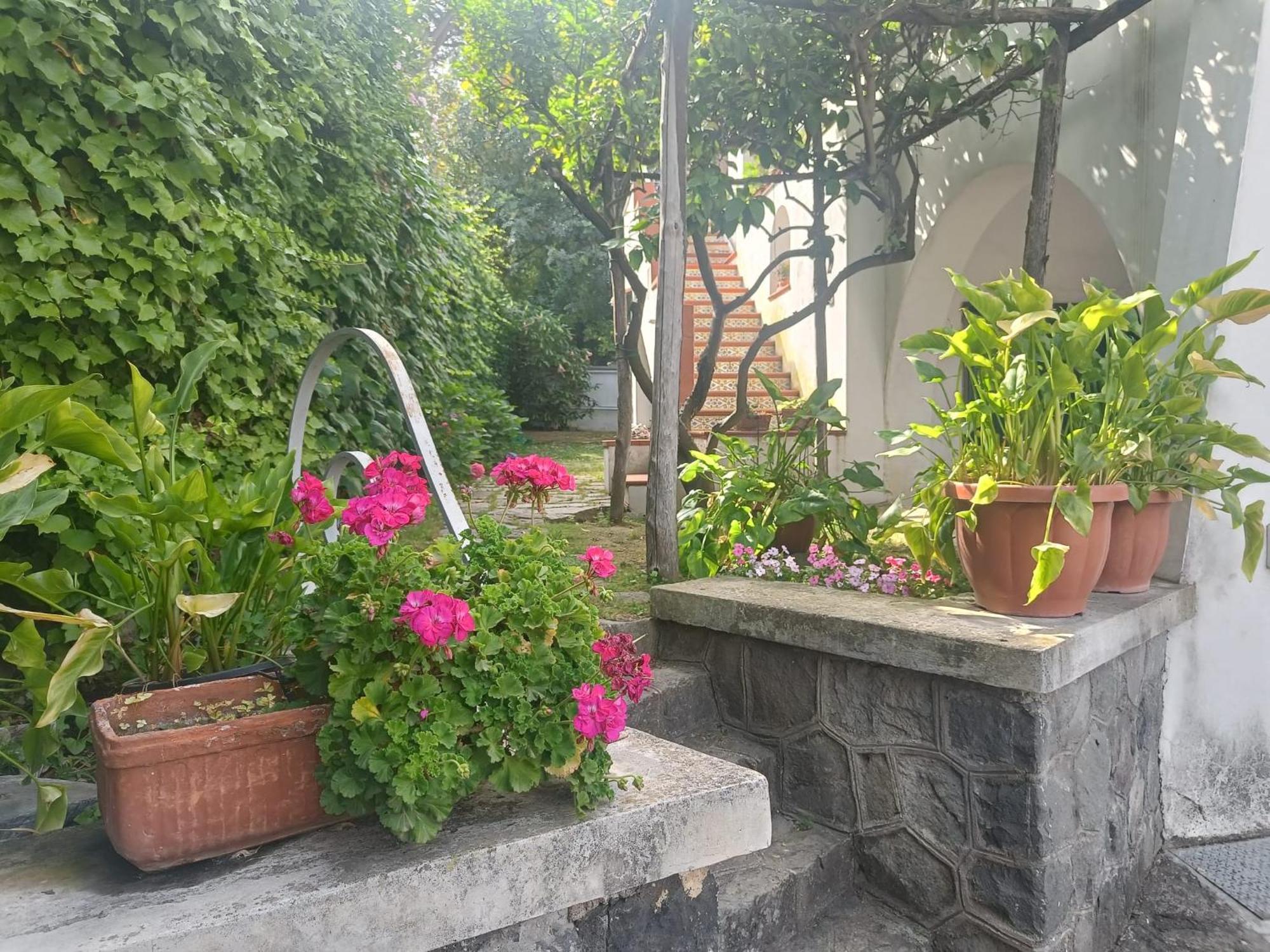 Casa Olivella Daire Torre del Greco Dış mekan fotoğraf